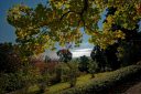 Kurpark Baden Stadtpark