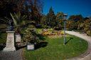 Flower Clock