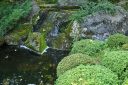 Japanese Rock and Water Garden
