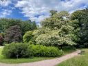 Dendrologischer Garten
