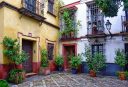 Patios Cordobeses