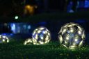 Glow Garden
