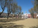 Alameda de Hércules