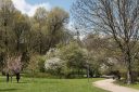 Agrykola Park