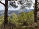 Sentier naturel de Vateri