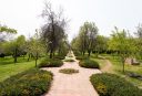 Gulzar-e-Sadiq Park
