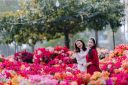 West Lake Flower Valley