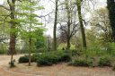 Parc Léopold