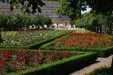 Jardín de rosas