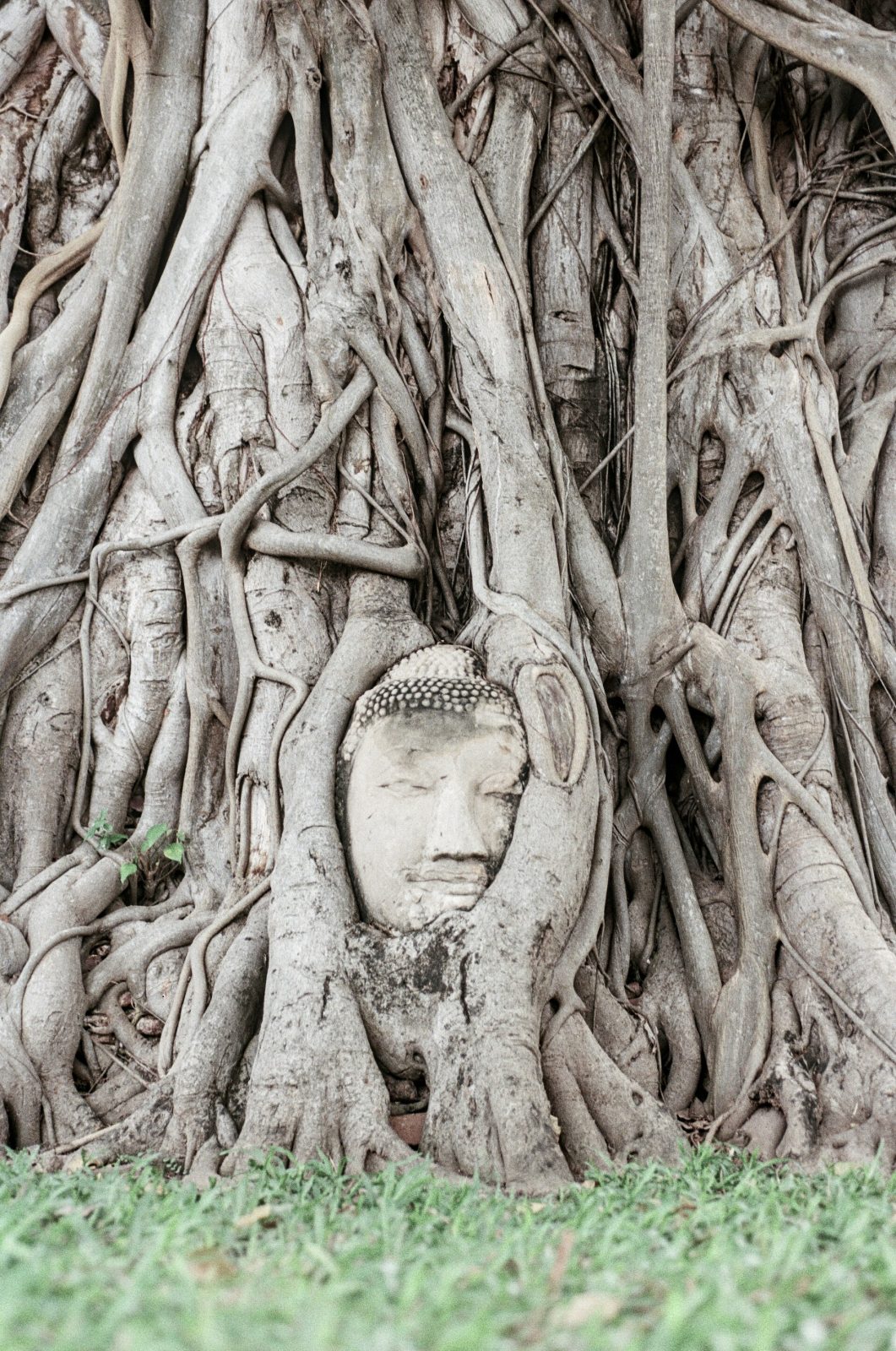 Promenade sacrée à Ayutthaya