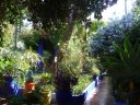 Jardines Majorelle