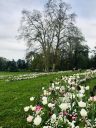 Parc La Grange