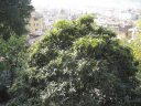 Vieille ville Quartier