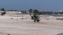 Al Bidda Park