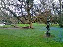 Arboretum Zurich