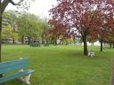 Battlefields Park